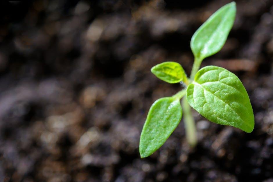 Reflecting on Growth: Analyzing Your Skills and experiences