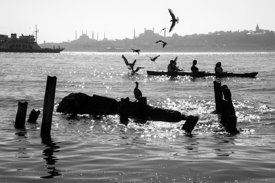 Performance on Water: Stability and Handling Features