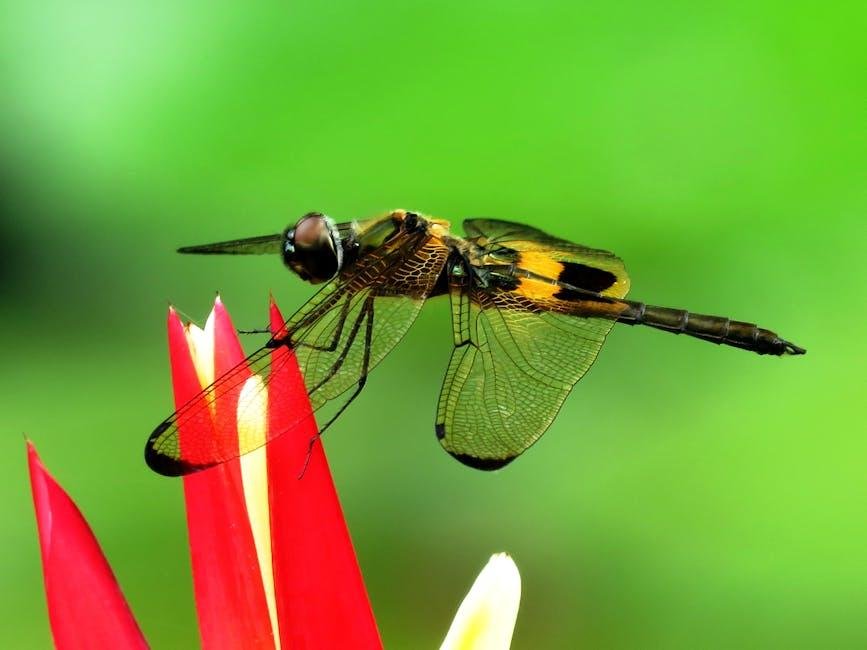 Recognizing and Respecting natural Habitats
