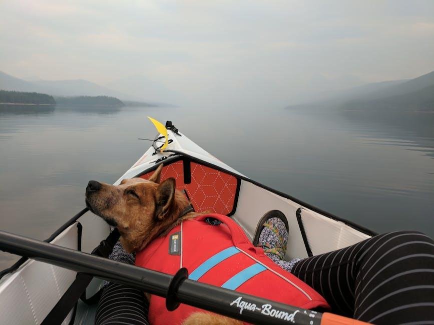 Training Your Pet for Kayaking: Tips for a Smooth Start