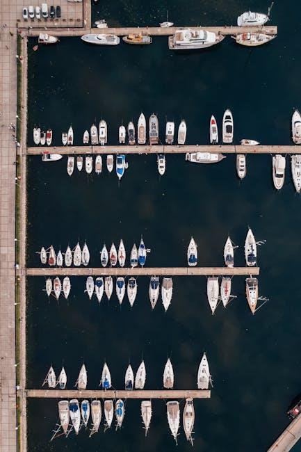 Key Features to Look for in Sit-on-Top Kayaks
