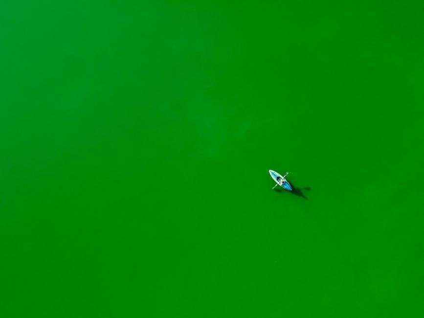 Embracing Simplicity: The Core principles of Minimalist Kayaking