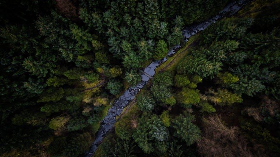 Navigating the ‍Scenic Rivers‍ of the Interior