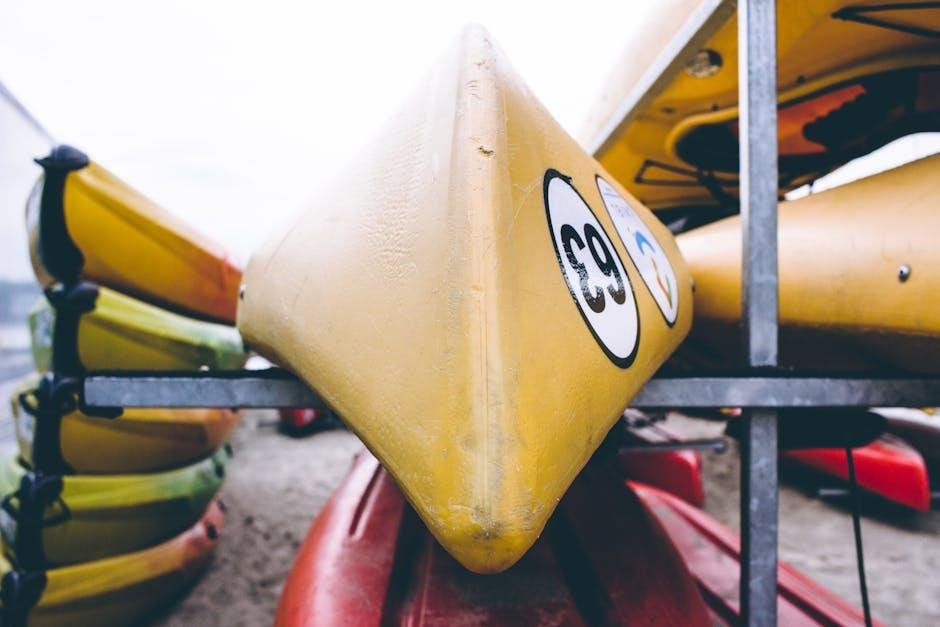 Essential Gear for a Memorable Kayaking Adventure