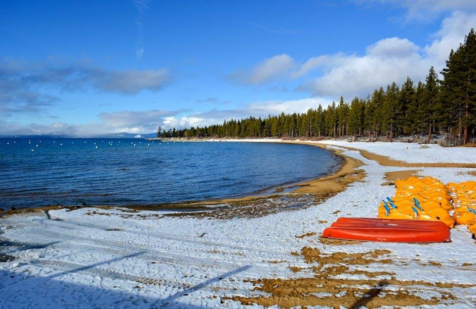 Evaluating the Financial Implications of Renting and Buying a Kayak