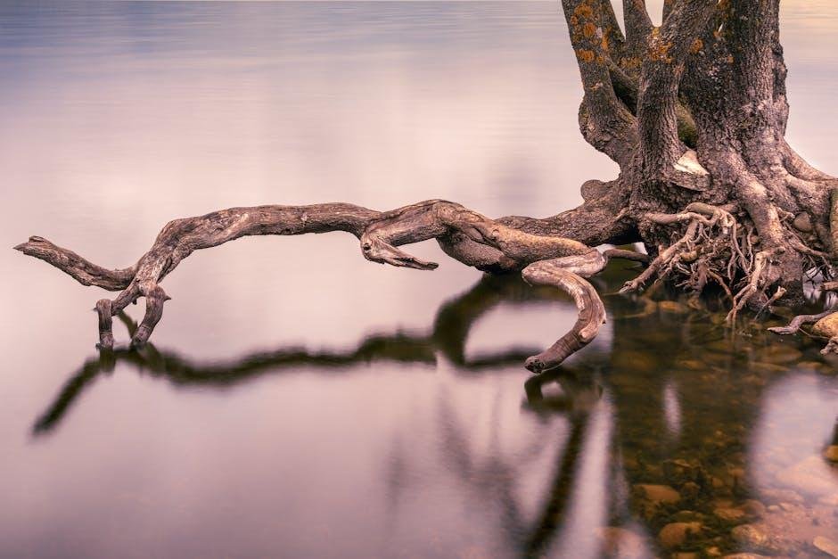 Securing Your Load: Techniques for stability on Water