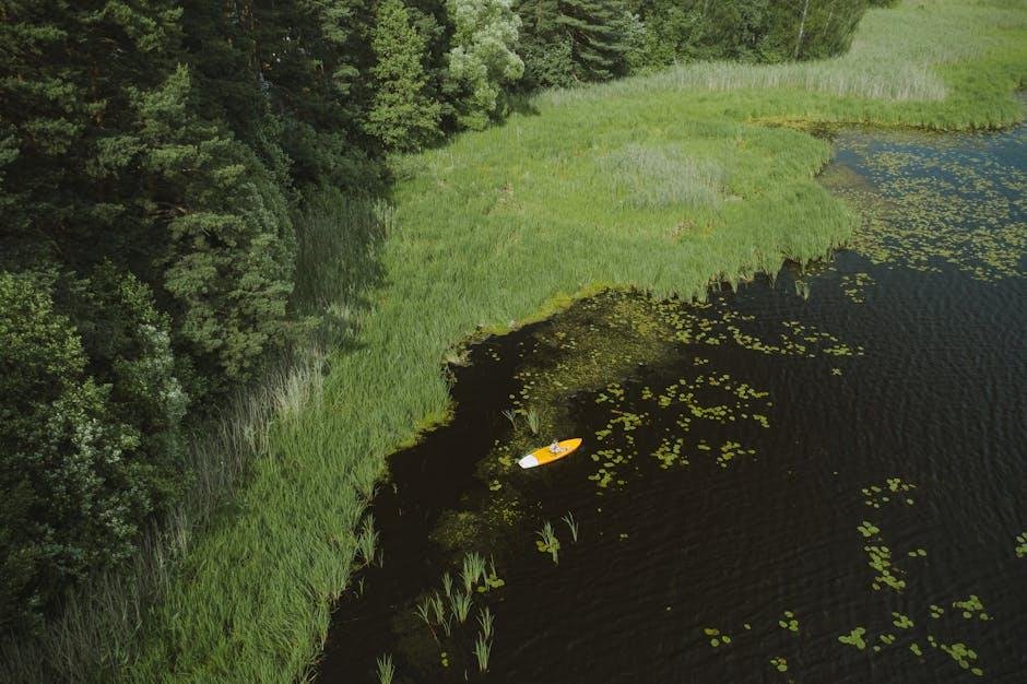 Essential Features to Look for in Your First Kayak