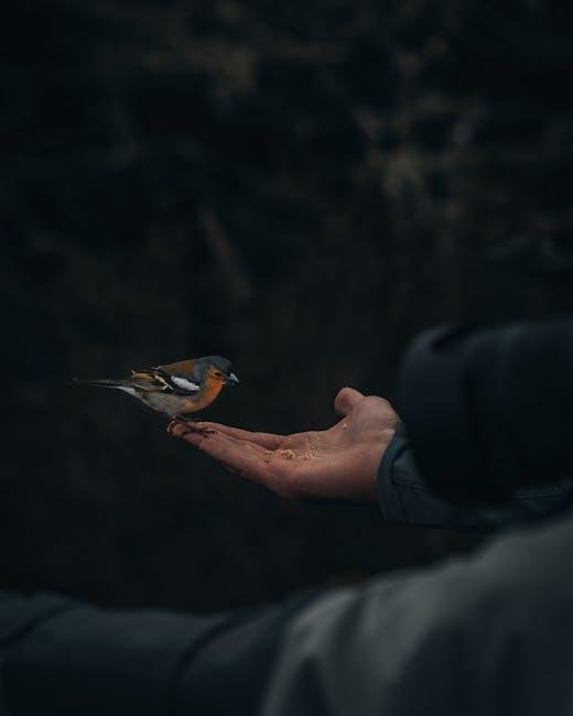 embracing Nature: Wildlife Encounters and Environmental Stewardship