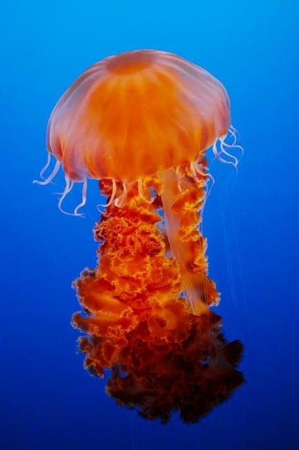 Optimal⁢ Conditions: When and How to Experience ​Bioluminescence effectively