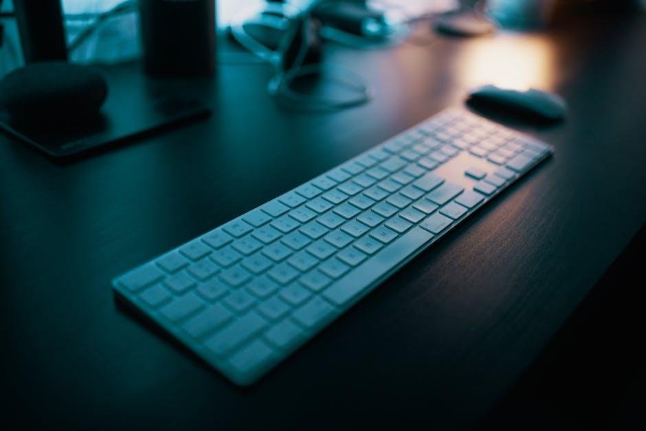 Choosing the Right Equipment and Ergonomics for Comfort