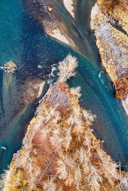 essential Features to Look for in Beginner-Friendly Waters