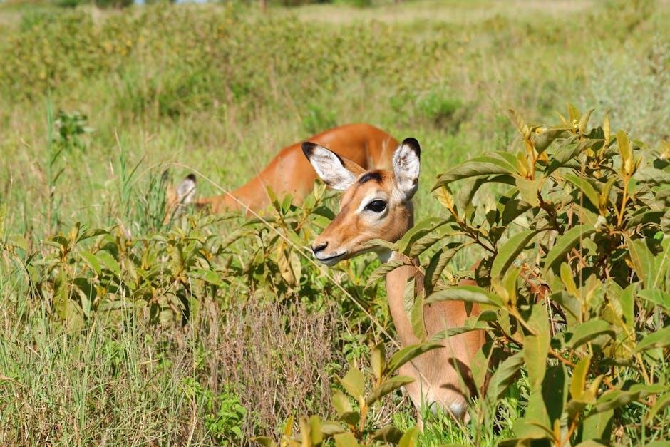 Wildlife Encounters: Embrace⁤ nature on Your Paddling Journey