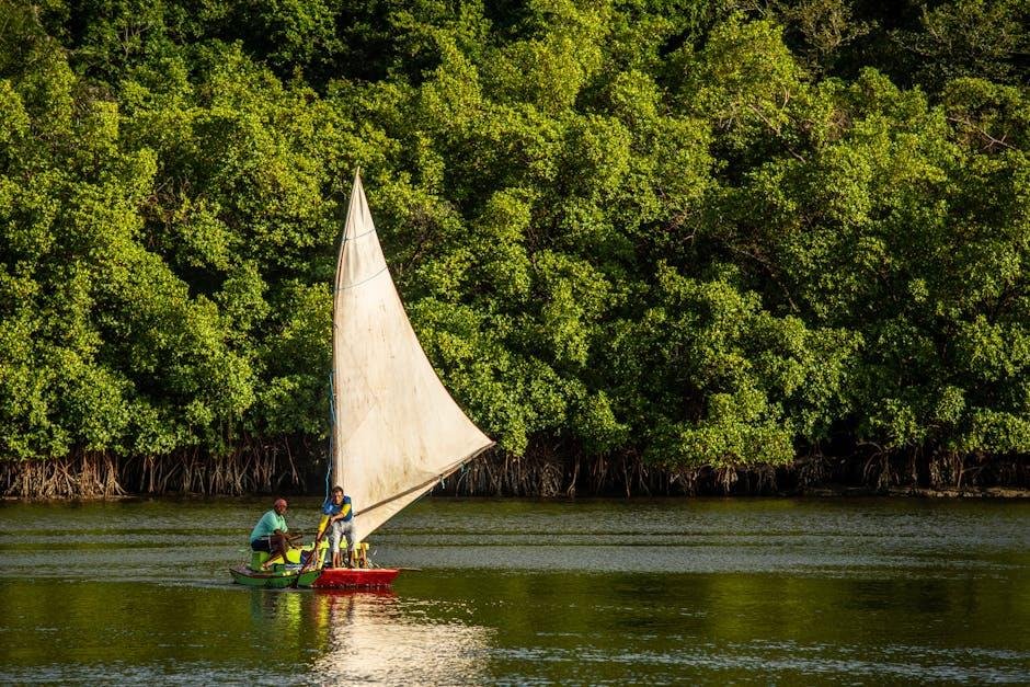 Discovering the⁢ Biodiversity of Florida’s Mangroves