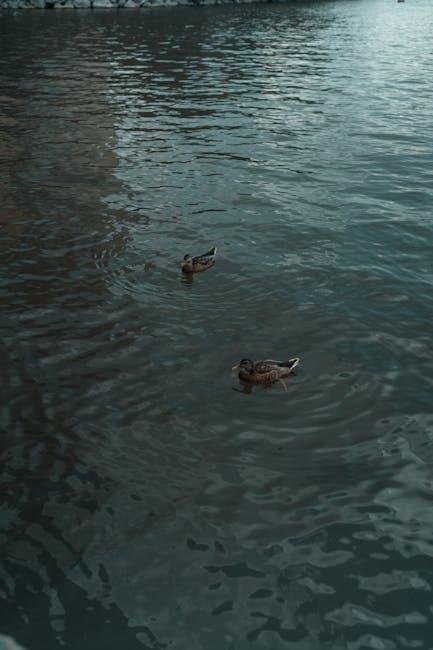 Finding Balance: The Art of Patience and Adaptability in Nature