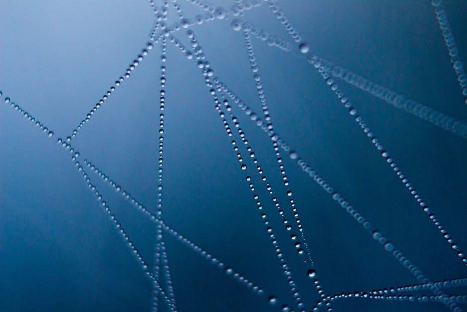 Connections in Motion: Building Community on the Water